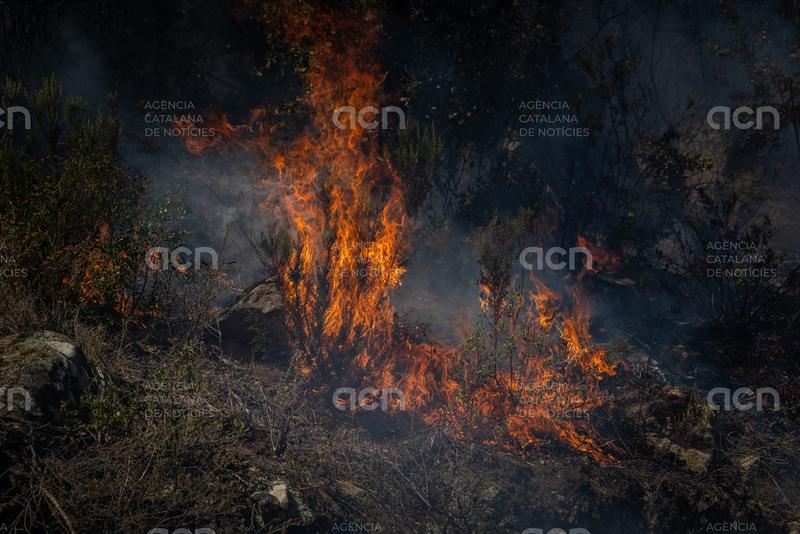 El tancament de les Gavarres arran de l'incendi i el "risc extrem" de nous focs es mantindrà com a mínim fins divendres