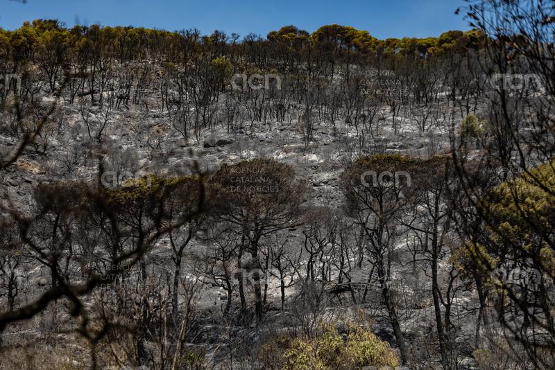 L’incendi de les Gavarres continua estabilitzat però els Bombers mantenen la preocupació pel flanc dret