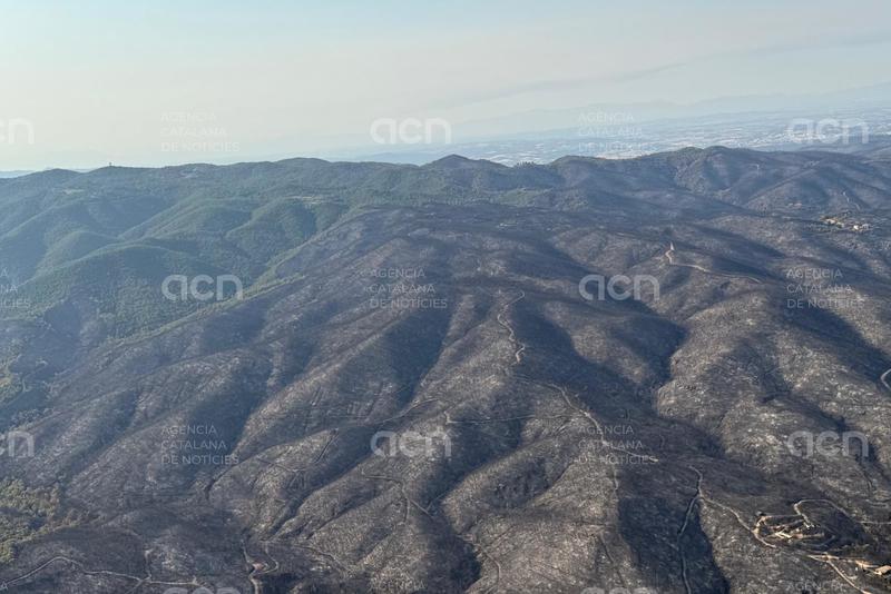 Els propietaris forestals de les Gavarres proposen al Govern un pla a quatre anys per restaurar la zona cremada
