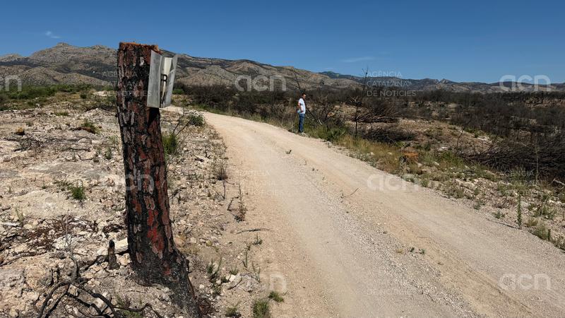 Ni boscos nets ni ajudes directes: la frustració dels alcaldes quan fa un any de l'incendi del Baix Ebre