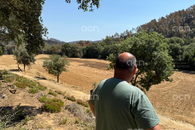 El propietari d'un mas al mig de les Gavarres: "Les cabres i els camps que tinc treballats m'han salvat la casa"
