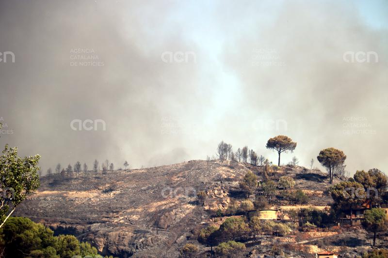 Propietaris forestals reivindiquen que la gestió del bosc ha estat "clau" per contenir l'incendi de l'Anoia