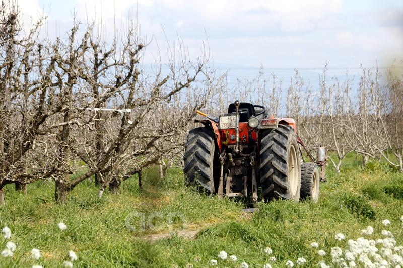 Els robots agrícoles entren al Pla Renove de maquinària amb una convocatòria de 9,55 MEUR