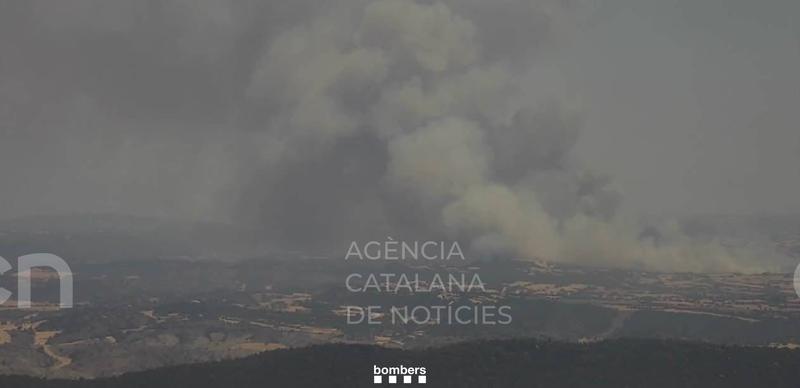L'incendi de la Segarra ja ha cremat almenys 73 hectàrees, sobretot de cultius, i evoluciona favorablement