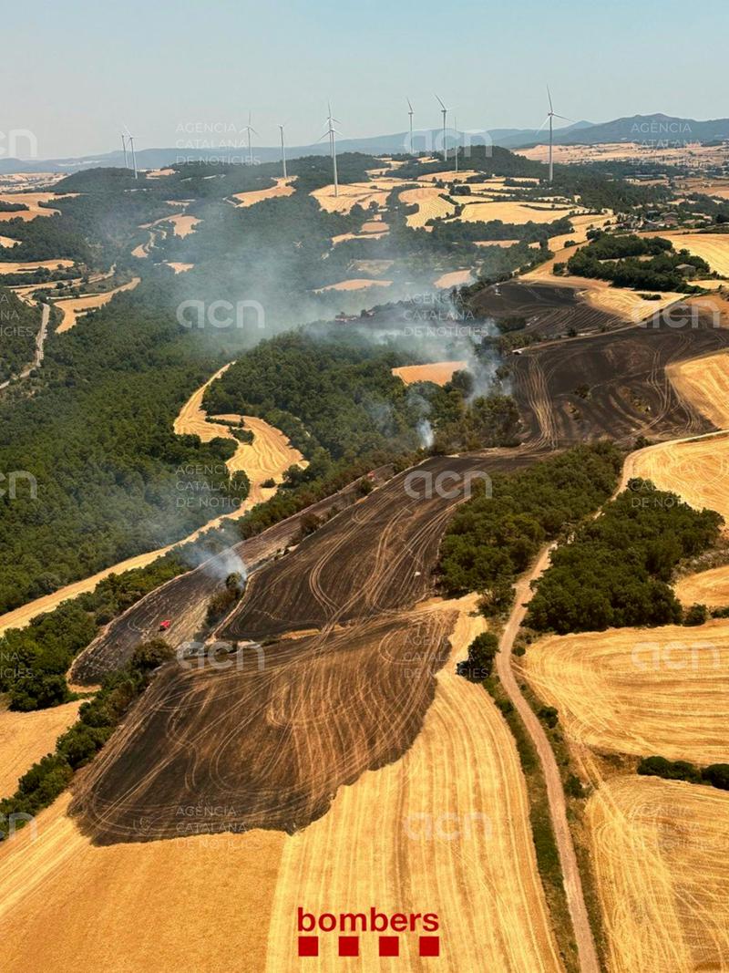 Estabilitzat l'incendi de Savallà del Comtat que ha cremat 11,3 hectàrees