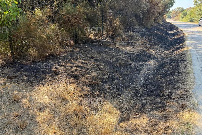 Controlat l'incendi de la Bisbal d'Empordà després de 4 dies actiu i de 2.200 hectàrees afectades