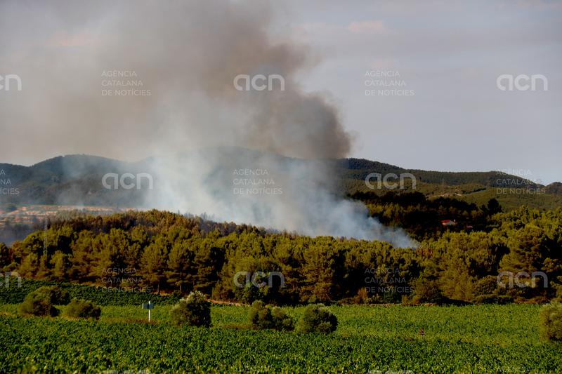 Els Bombers es mostren preocupats pels focs d'Aiguamúrcia i Navarcles i mantenen el confinament d'unes 11.000 persones