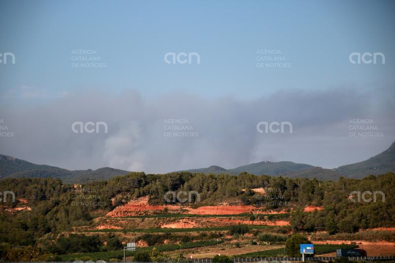 Una veïna d'Aiguaviva davant del foc del Pla de Manlleu: "Si no cuidem el pulmó del Baix Penedès, ens n'anem en orris"