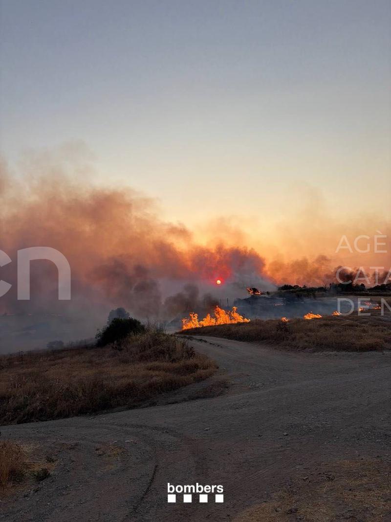 Estabilitzat l'incendi de vegetació agrícola i forestal de Guimerà, a l'Urgell