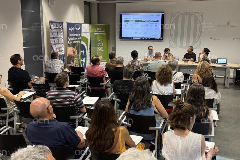 Els productors del Pallars que envasen oli per comercialitzar s'han multiplicat per sis en deu anys