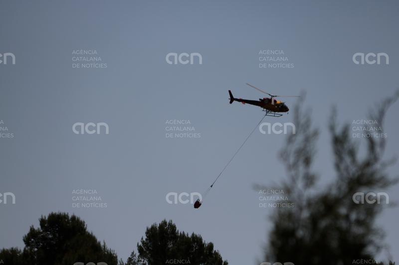 Els Bombers donen per controlat l'incendi del Pla de Manlleu
