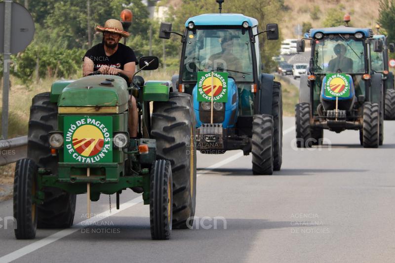 Mig centenar de pagesos i una quinzena de tractors fan una marxa lenta per exigir solucions per l’excedent de raïm