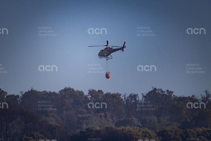 El Govern admet que va "tard" en la gestió forestal, però ratifica la seva estratègia en la prevenció d'incendis