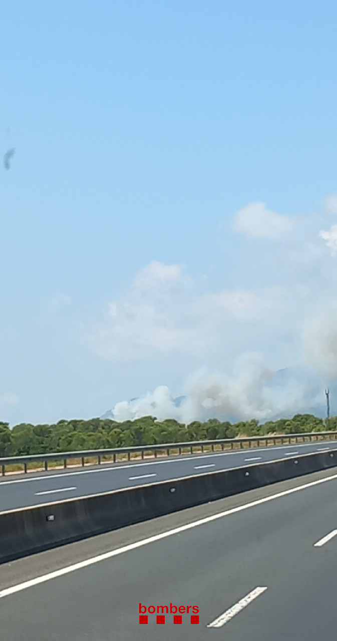 Els Bombers estabilitzen l'incendi de Mont-roig del Camp i s'aixeca el confinament de les tres urbanitzacions