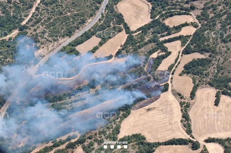 Els Bombers donen per controlat l'incendi de Camarasa, que ha afectat unes 22 hectàrees