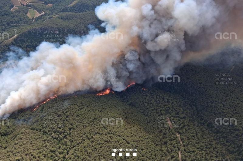 L'incendi d'Aiguamúrcia, Querol i Pontons ja afecta unes 80 hectàrees i ha obligat a confinar 5 municipis
