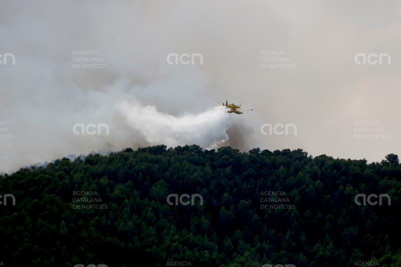 Els bombers treballen per evitar revifalles i poder estabilitzar l'incendi d'Aiguamúrcia aquest dilluns al vespre