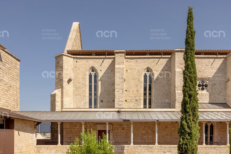 Les obres de restauració de les façanes de Sant Domènec de l'UdG afavoreixen el retorn dels falciots negres
