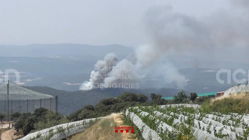 Els Bombers estabilitzen el foc de Lladurs, que ha afectat 3,5 hectàrees de superfície vegetal