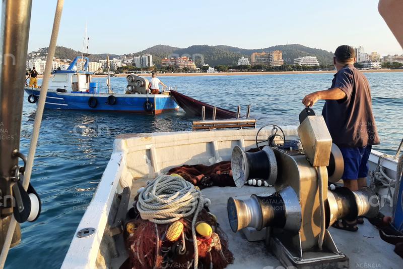Els pescadors de sonso gironins deixen de feinejar sis mesos abans del previst i alerten que l'espècie s'està acabant