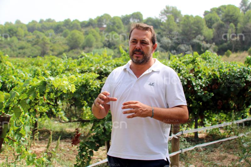 Joaquim Tosas dimiteix com a president de la patronal AECAVA