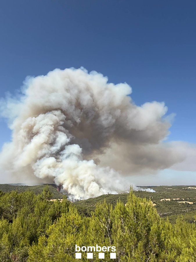 El foc forestal de Rubió afecta una superfície de 25 hectàrees, segons els Agents Rurals