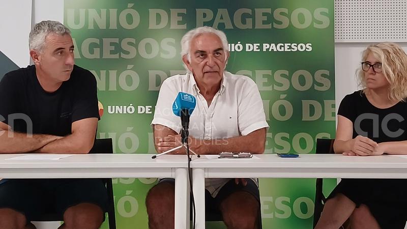 La calor extrema redueix calibres i collita de fruita dolça i posa en risc els comptes de moltes finques lleidatanes