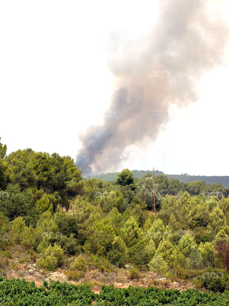 Estabilitzades les represes a Querol i Pontons del foc d'Aiguamúrcia