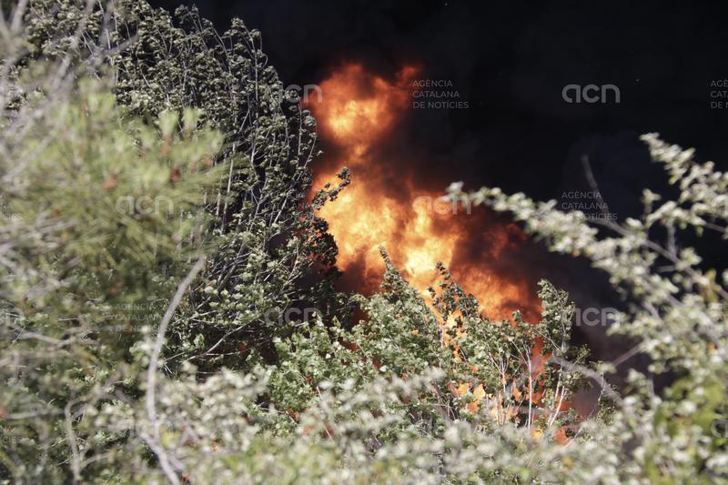 El fum i l'estrès d'un incendi redueix el pes dels nounats i incrementa els parts prematurs, segons un estudi de la UAB
