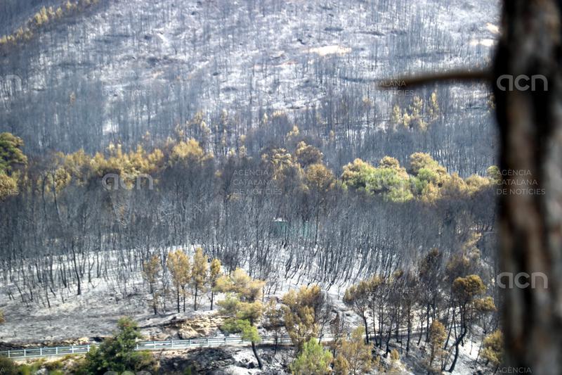 Els Bombers donen per controlat el foc de Sant Quirze Safaja