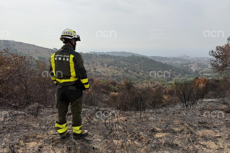 En el que portem de 2026 s’han cremat 4.571 hectàrees a Catalunya en 461 incendis, 72 dels quals intencionats