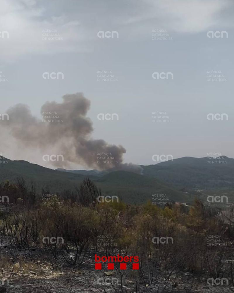 Estabilitzat el nou incendi d'Aiguamúrcia, el cinquè d'aquesta setmana, que ha afectat 1,5 hectàrees