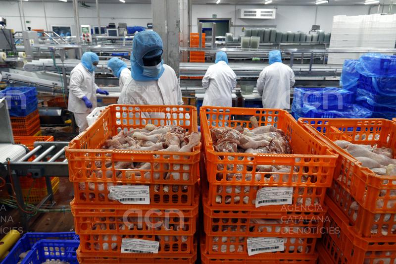 Vall Companys redueix més de la meitat les inversions i rebaixa el dividend per l'impacte de la pesta porcina africana