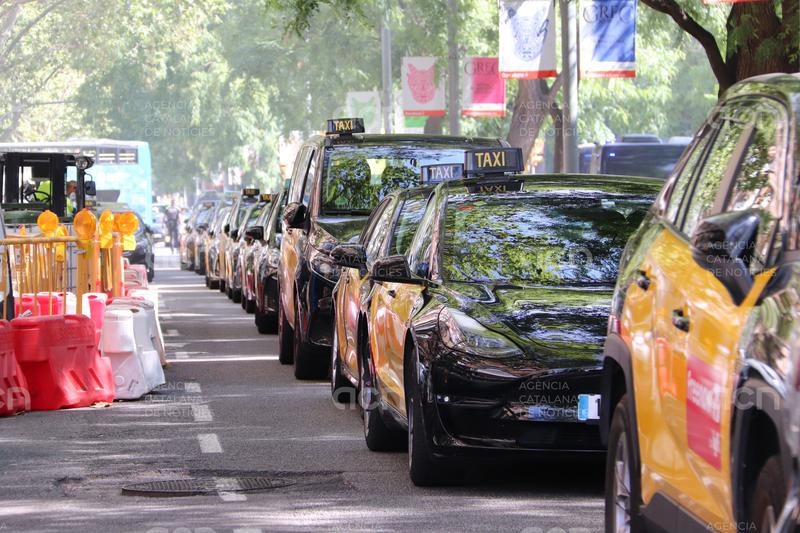 Protesta amb uns vuitanta taxis aparcats al carrer davant de Territori contra la “permissivitat” amb les plataformes