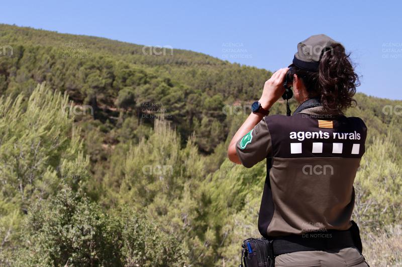Dissabte amb perill molt alt d'incendi forestal a 58 municipis de Ponent, Catalunya Central i Terres de l'Ebre