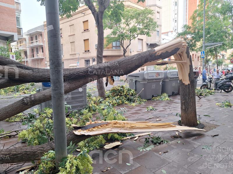 Un esclafit arrasa arbres, fanals, motos i tendals en un tram de 500 metres de l'avinguda Carrilet de l'Hospitalet