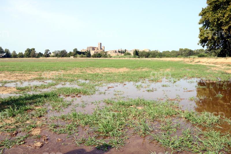 Castelló d'Empúries posa en marxa un estany artificial com a "porta d'entrada" als Aiguamolls