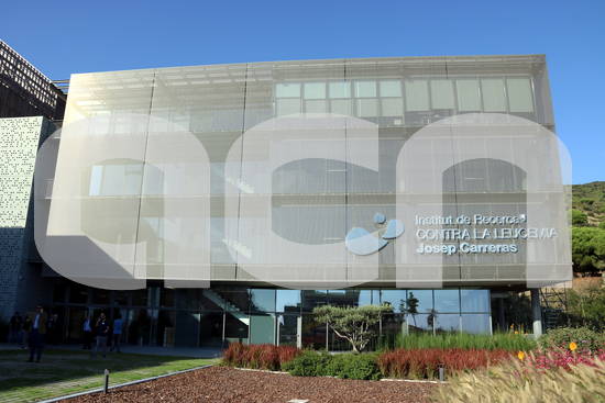 Acord entre l’Institut Josep Carreras i una de les sis extreballadores acomiadades 