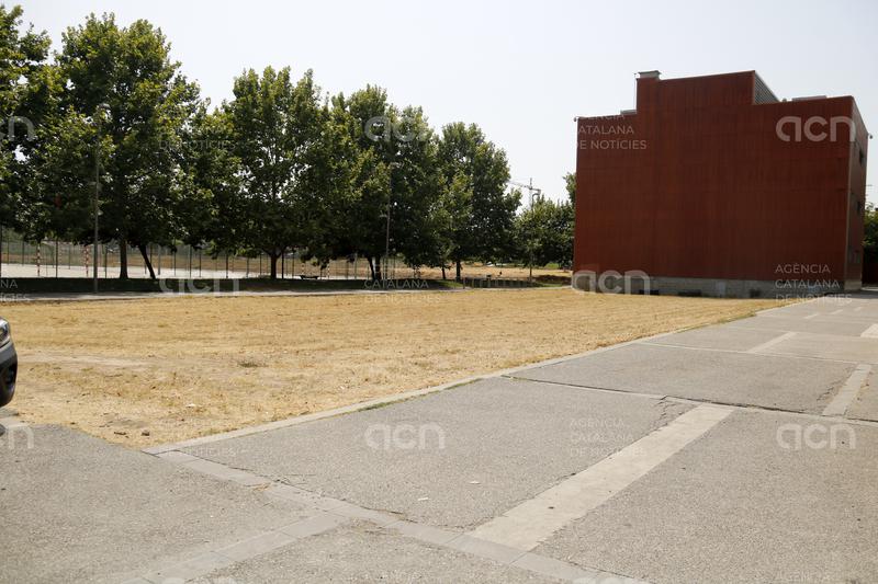La Universitat de Lleida tindrà un centre d'edició genòmica de cereals