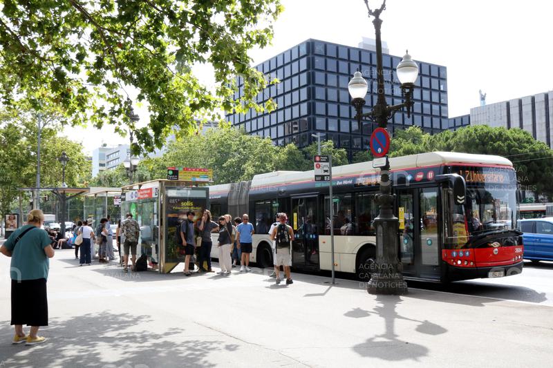 Barcelona puja de 13 a 23 les parades de bus interurbà entre Maria Cristina i Zona Universitària per agilitzar el servei