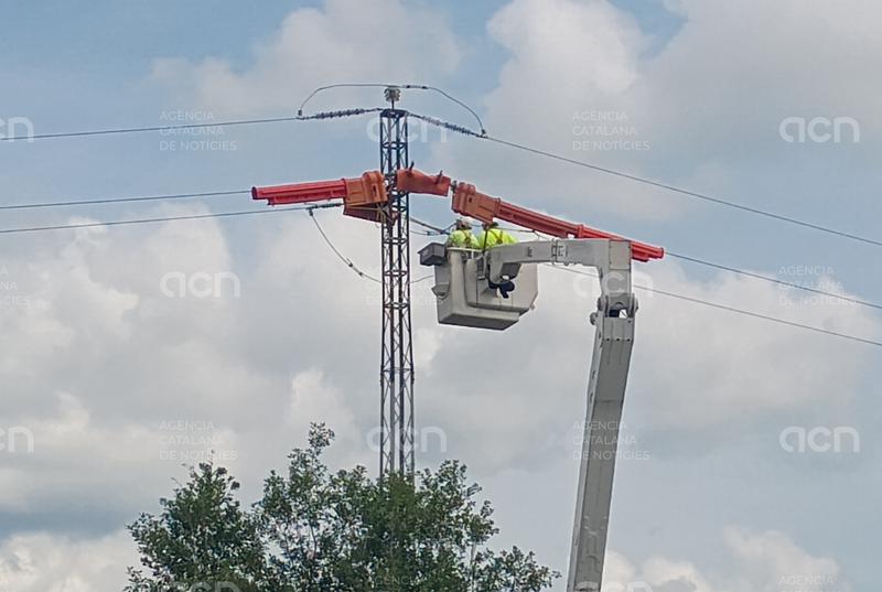 Endesa adapta 130 suports de la xarxa elèctrica de comarques gironines per reforçar la protecció de l'avifauna