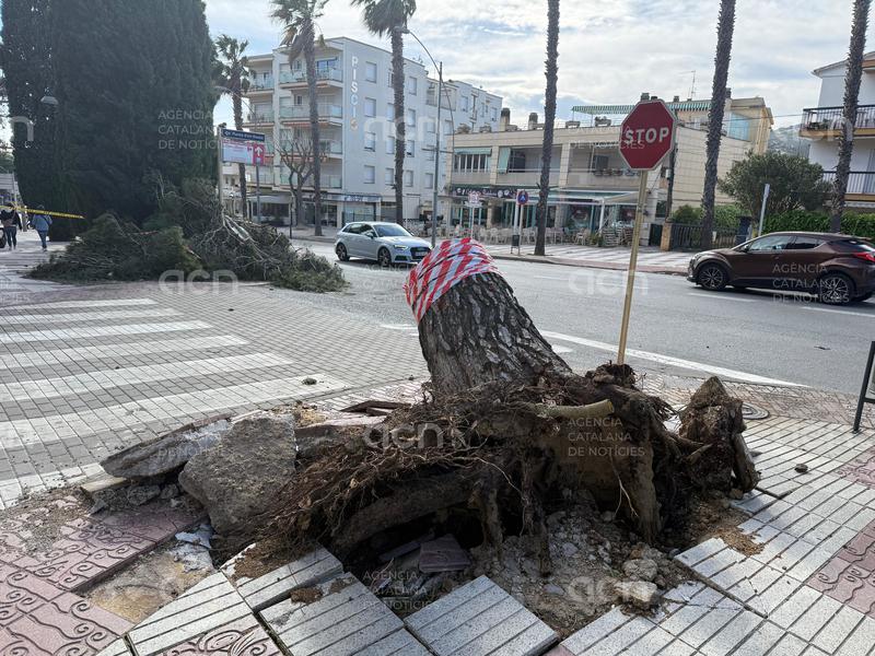 Platja d'Aro invertirà 2,1 MEUR a millorar el 60% de les voreres i espera que estigui llest abans de l'estiu vinent
