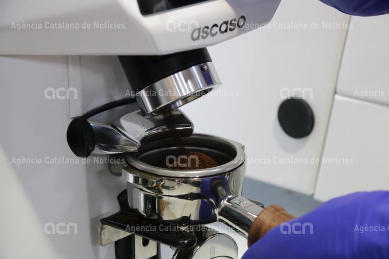 Una recerca de la URV indica que els pòsits de cafè poden convertir-se en matèria primera per produir biocombustibles