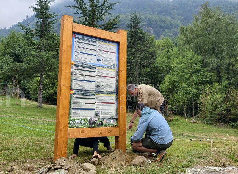 Instal·len el primer cartell divulgatiu sobre l'os bru a la Val d'Aran