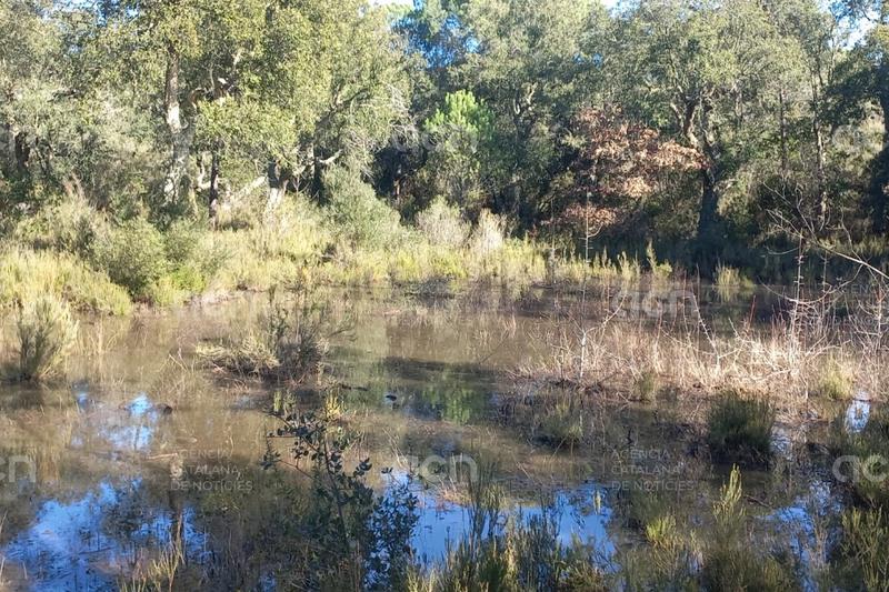 El Consorci de les Gavarres compra una finca de 70 hectàrees amb una gran concentració d'espècies d'interès