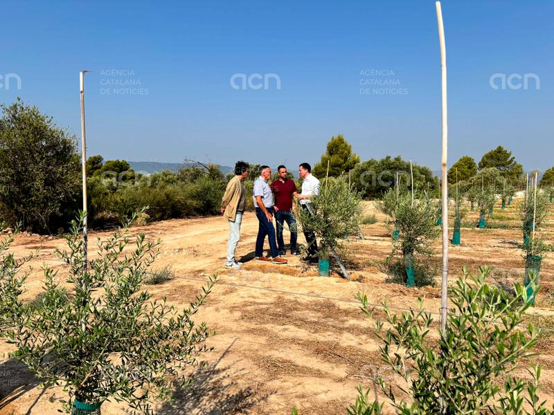 Agricultura reactiva les obres del regadiu de Vingalis a la Ribera d'Ebre i l'amplia en més de 90 hectàrees