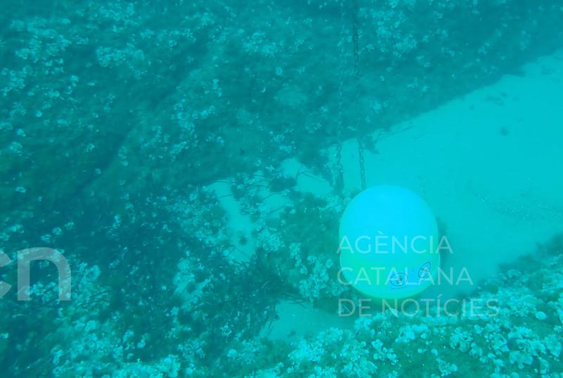 Palamós denuncia que han vandalitzat una quinzena de boies que delimiten l'espai de bany en diverses cales