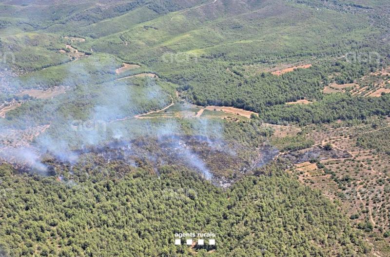 Els Bombers donen per extingit l'incendi forestal de Canyelles i controlen el de Masllorenç