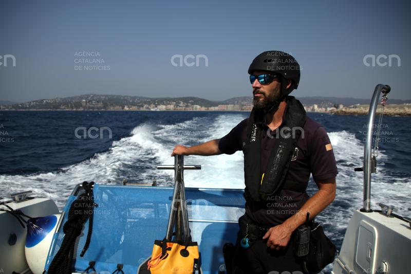 Els pescadors recreatius sense llicència es redueixen a la meitat en quatre anys i ja són menys del 10% dels casos
