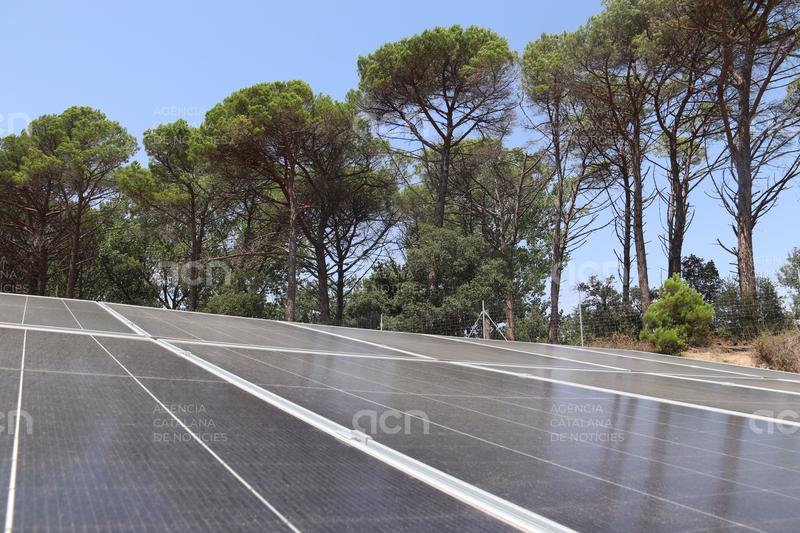 Territori impulsa "el camí català" de les energies renovables amb mesures per preservar la biodiversitat